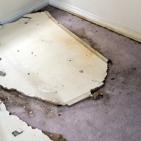 Old carpet with visible wear and tear needing replacement
